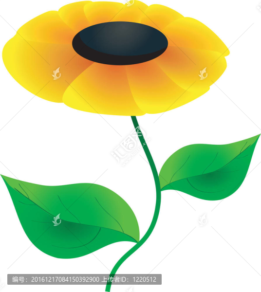 圖片摘要黃花