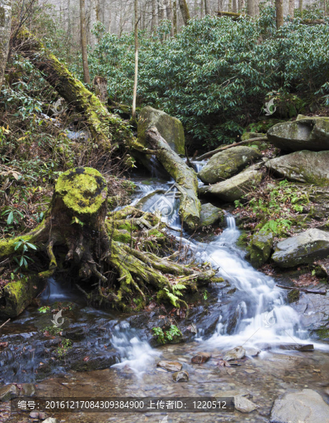 大煙山的風(fēng)景