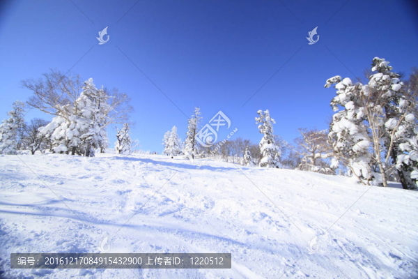 滑雪場(chǎng)