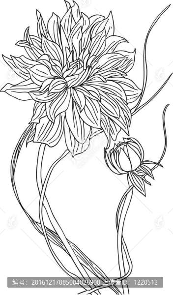 紋身花
