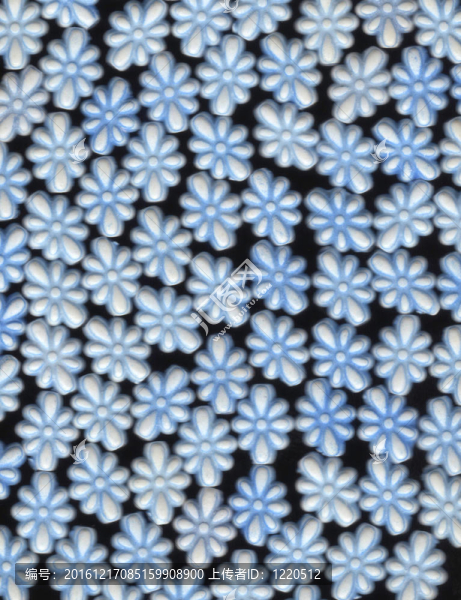 藍(lán)色的雪花