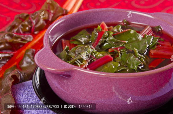 飼用甜菜湯