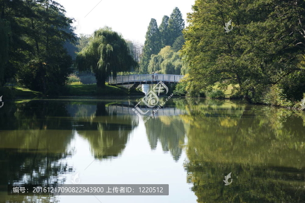 在公園里