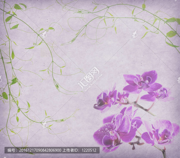 復(fù)古壁紙背景蘭花