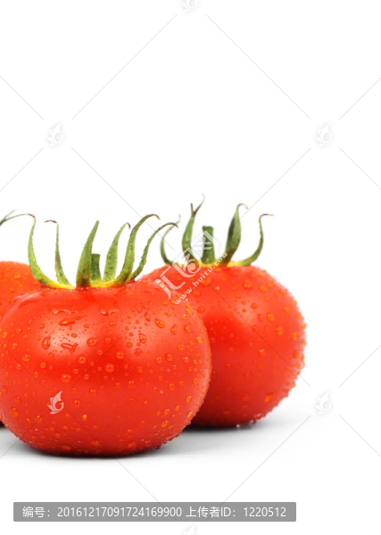西紅柿