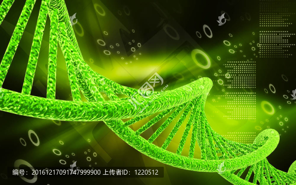 DNA