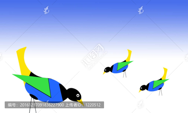 五顏六色的鳥