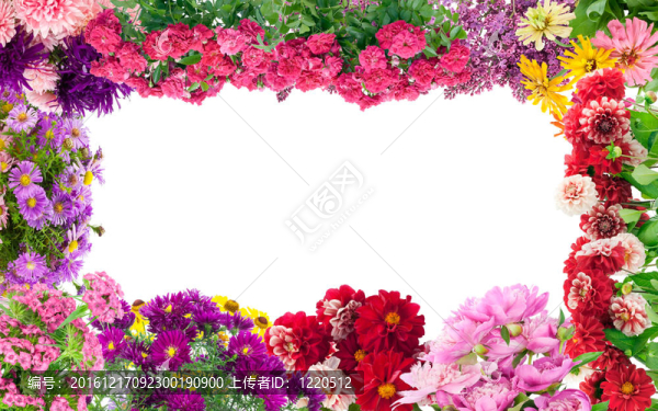 夢幻般的花框