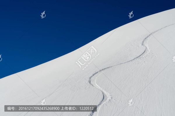 雪中的痕跡