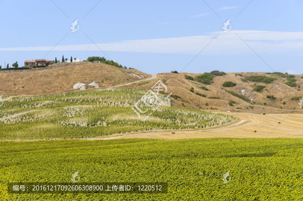 Val,d,Orcia（托斯卡納）景觀