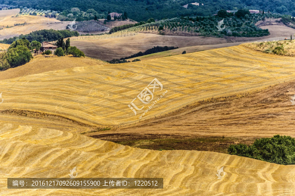 Val,d,Orcia（托斯卡納）景觀