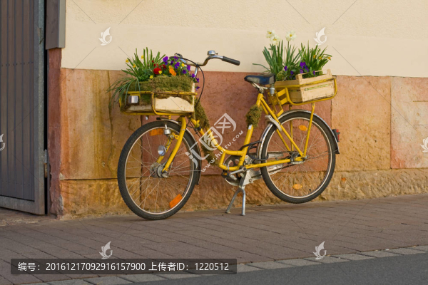 自行車的花
