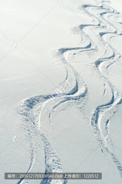 雪中的兩個(gè)滑雪痕跡