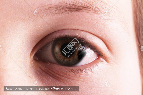 眼睛
