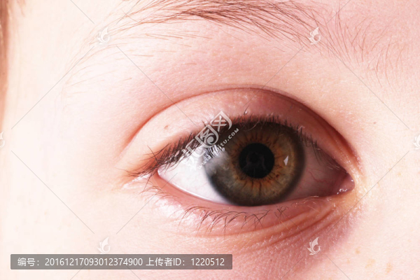 眼睛