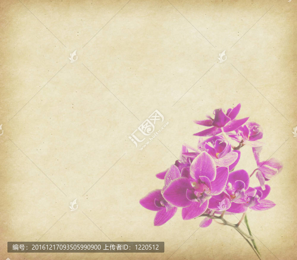 復(fù)古壁紙背景蘭花
