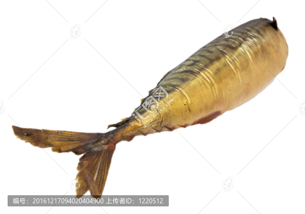 煙熏鯖魚在白色背景