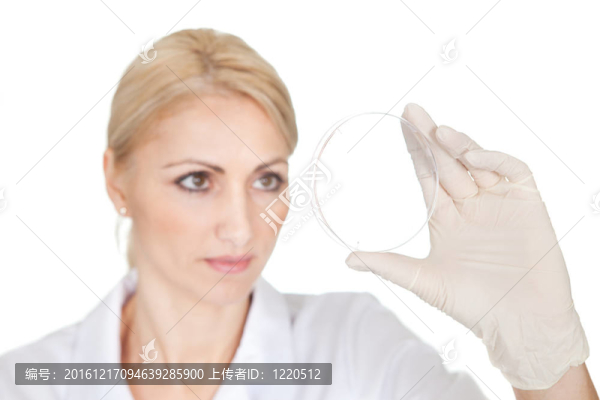 研究者尋找到空的培養(yǎng)皿