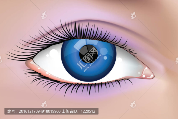 漂亮女的眼睛
