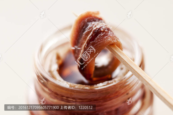 鳀魚(yú)