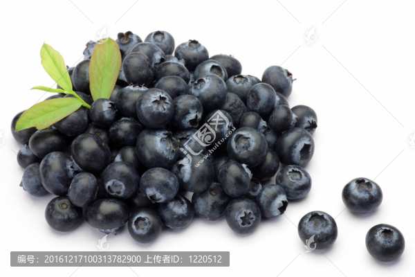 藍莓