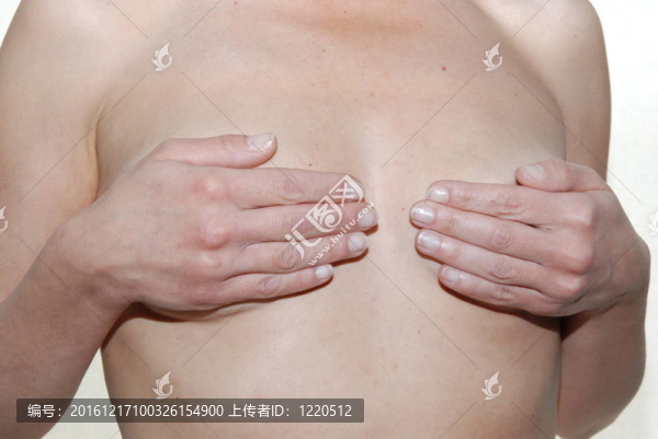 女性的乳房
