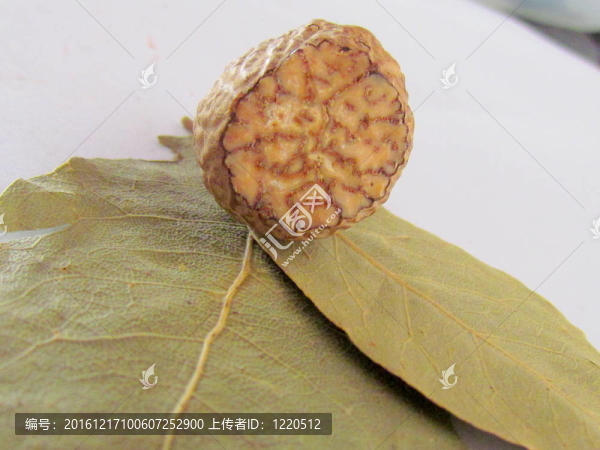 肉豆蔻和月桂葉