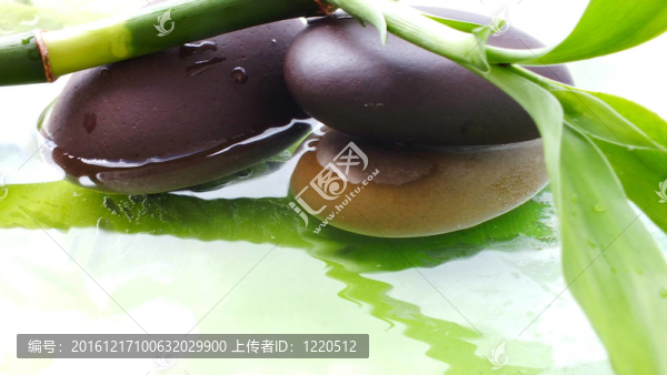 溫泉石竹廠