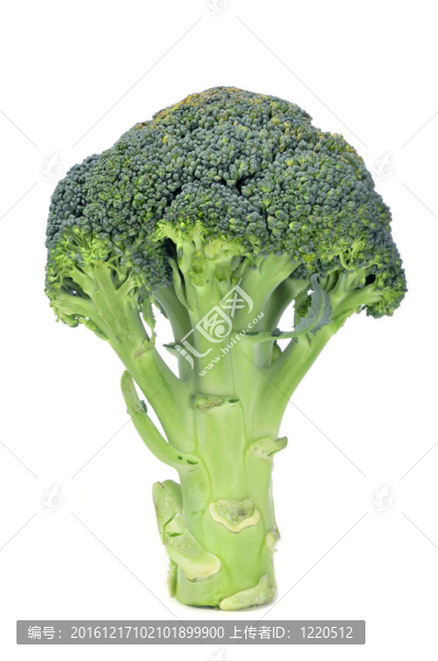西蘭花