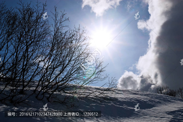 在冬天的云sunbust