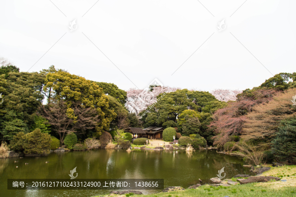 日式園林
