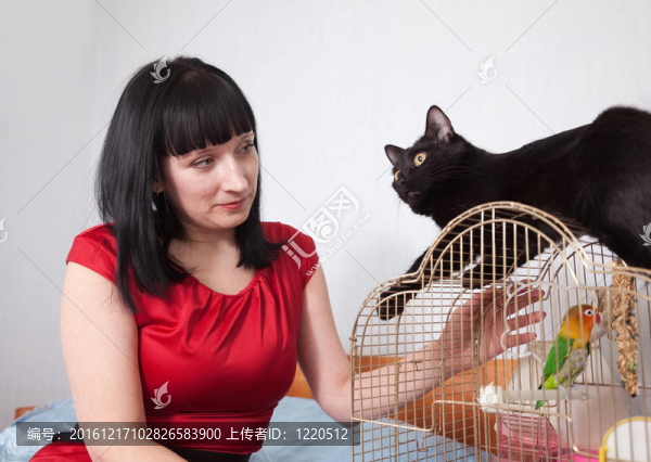 女人與貓和鸚鵡