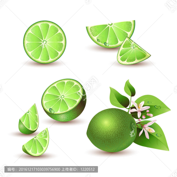 鮮石灰花