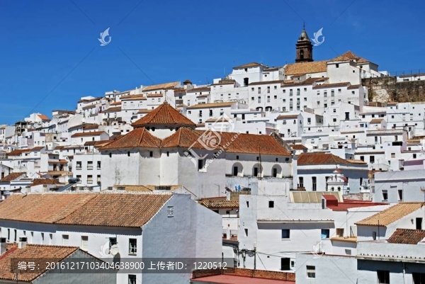 Alcala,de,los,grazules；西班牙。