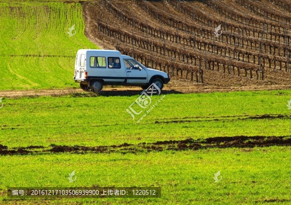綠色田野上的白色汽車