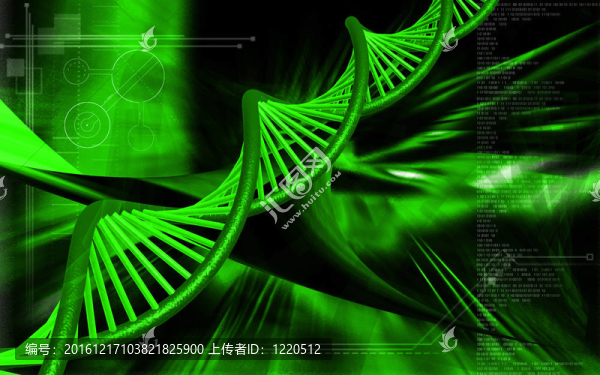 DNA