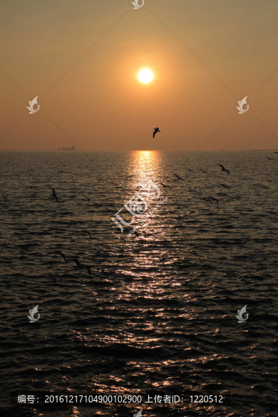 傍晚太陽和大海
