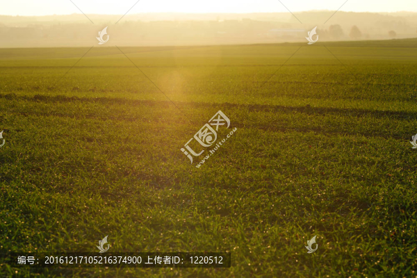 一個美麗的背景美麗的夕陽