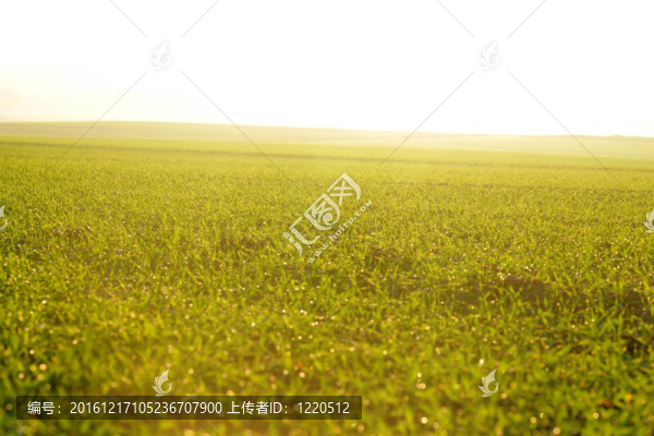 一個(gè)美麗的背景美麗的夕陽