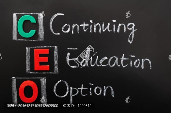 CEO繼續(xù)教育選項(xiàng)