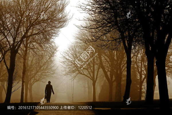 霧蒙蒙的早晨