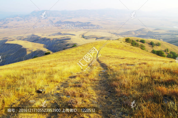 山地景觀