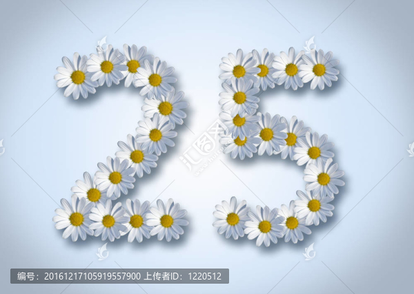 第二十五