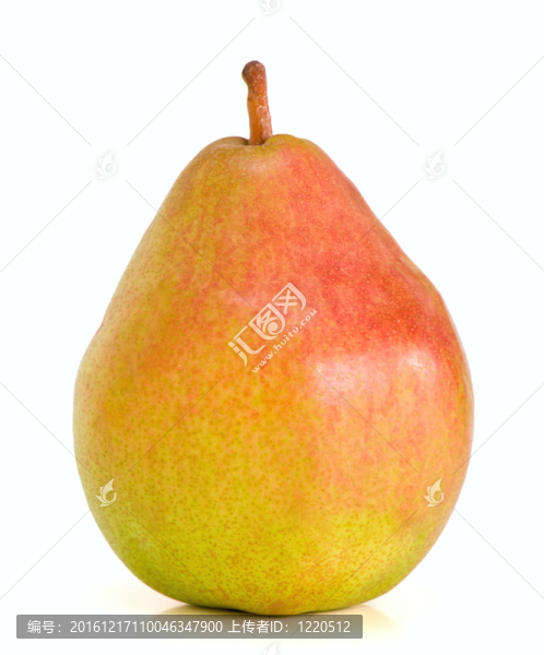 孤獨(dú)的比利時(shí)梨