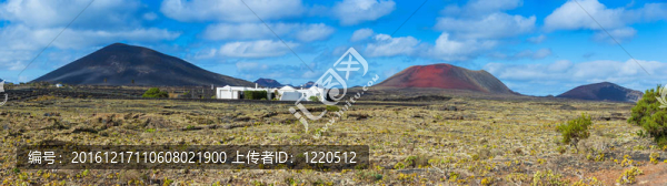 蘭薩羅特島島上的典型的房屋