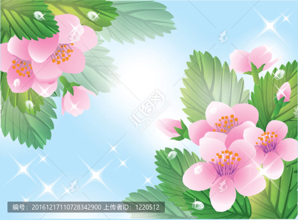 春花卡。