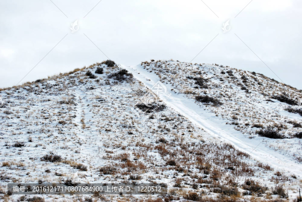 山上的雪。