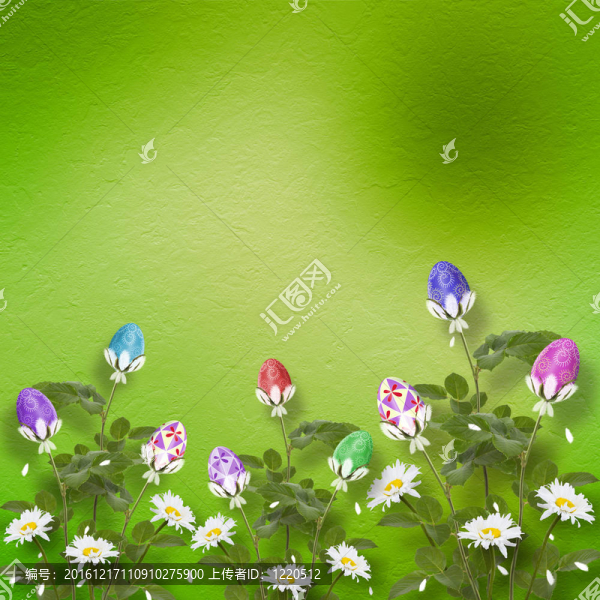 柔和的背景與五顏六色的雞蛋花慶祝