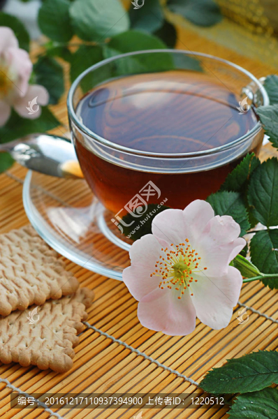 茶與狗玫瑰花