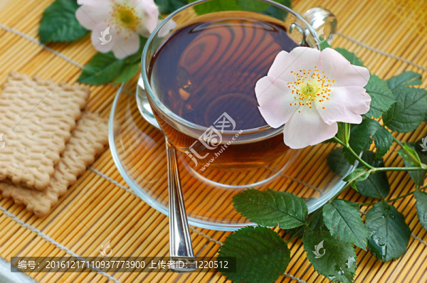 茶與狗玫瑰花